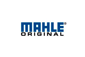 Mahle Original